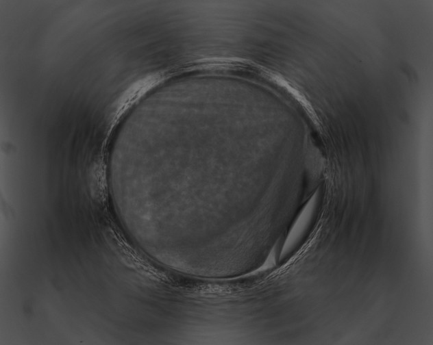 X0000090491362200708031137