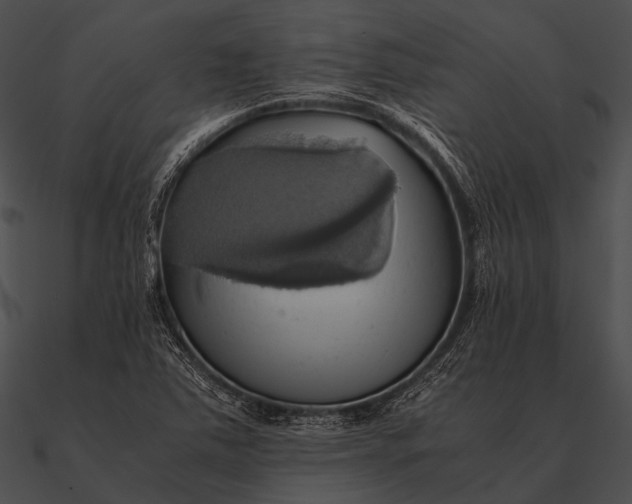 X0000090491363200708031137