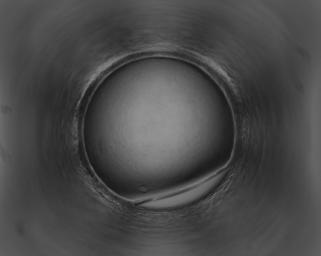 X0000090491364200708031137