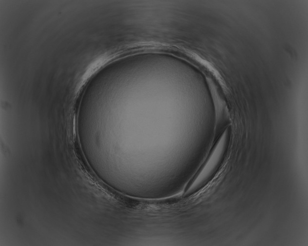 X0000090491365200708031137