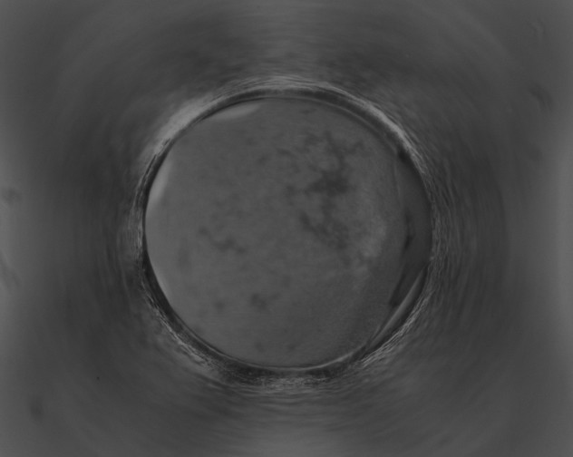 X0000090491367200708031137