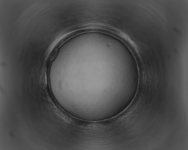 X0000090491368200708031137