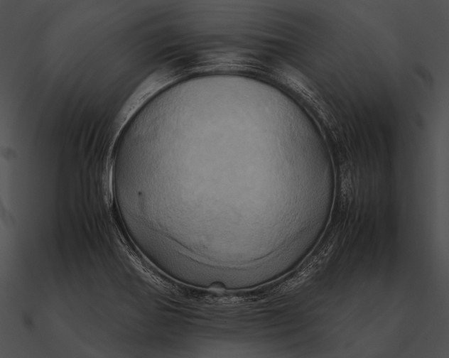 X0000090491370200708031137