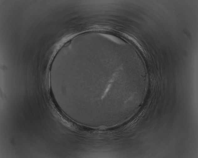 X0000090491371200708031137