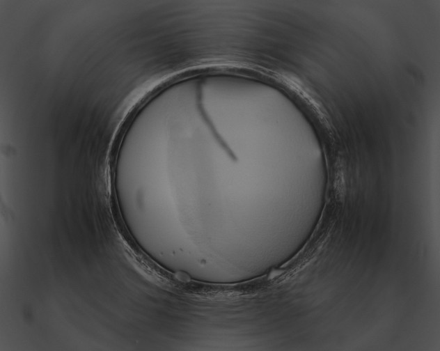 X0000090491372200708031137