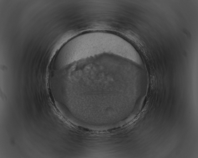 X0000090491374200708031137