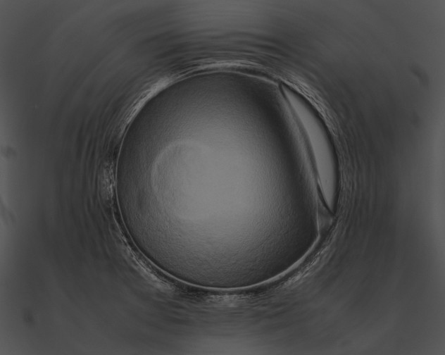 X0000090491377200708031137