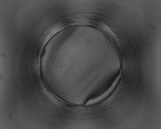 X0000090491378200708031137