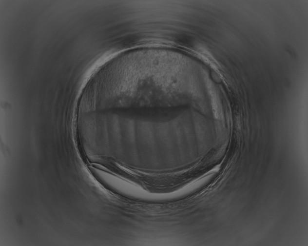 X0000090491379200708031137