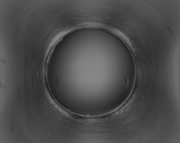 X0000090491381200708031137