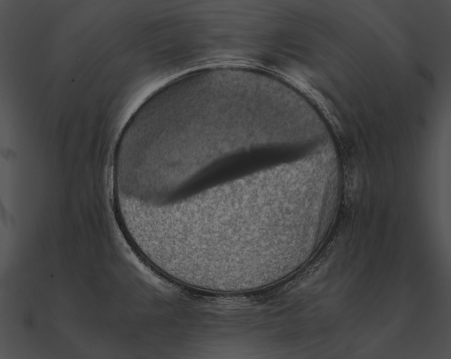 X0000090491383200708031137