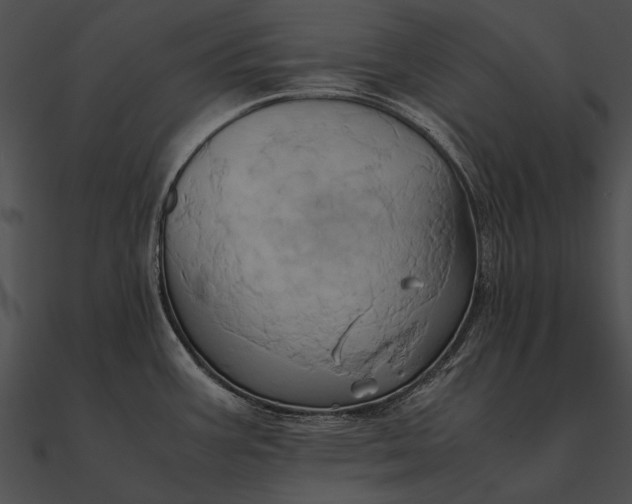 X0000090491387200708031137