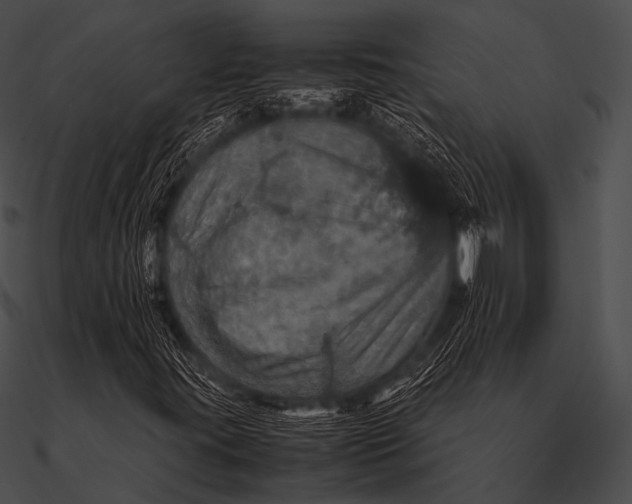 X0000090491395200708031136