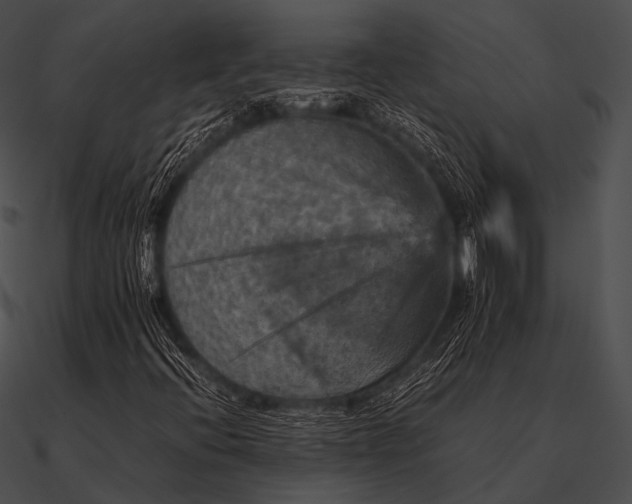 X0000090491396200708031136