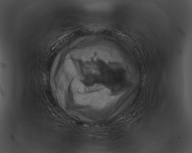X0000090491397200708031136