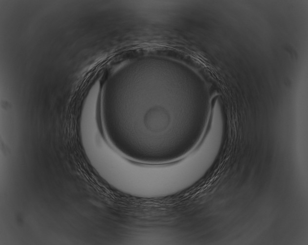X0000090491398200708031136