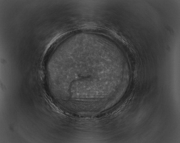 X0000090491400200708031136