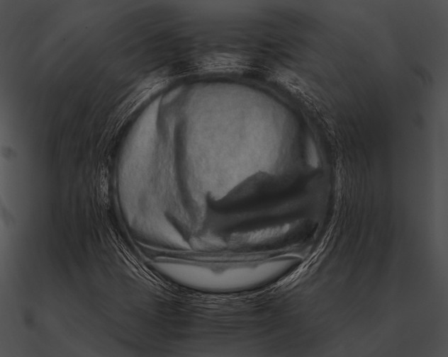 X0000090491401200708031136