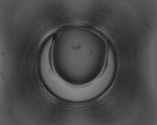 X0000090491402200708031136