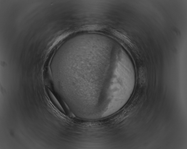 X0000090491404200708031136