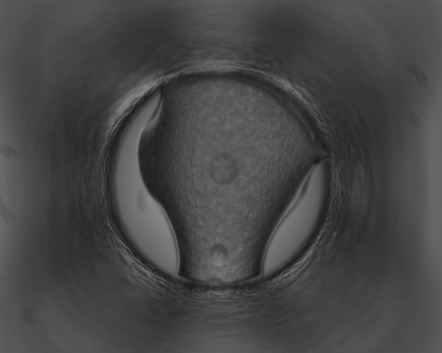 X0000090491406200708031136