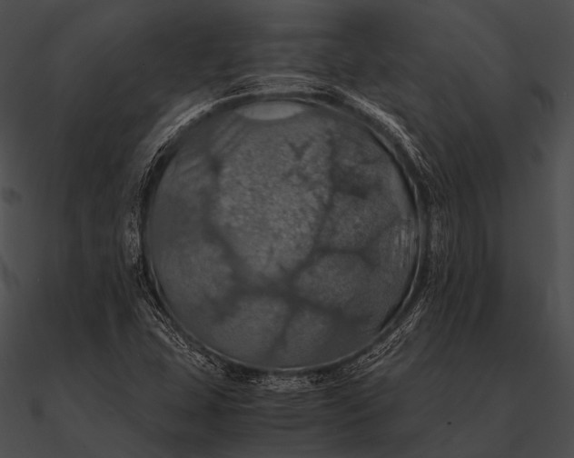X0000090491407200708031136