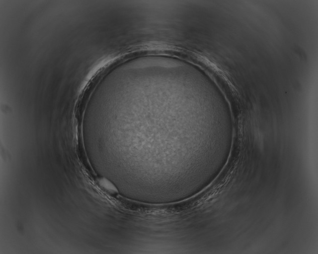 X0000090491408200708031136