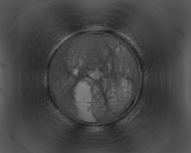 X0000090491409200708031136