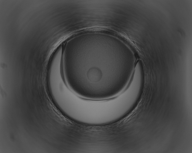 X0000090491410200708031136