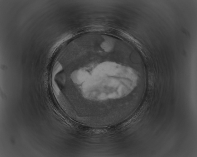 X0000090491411200708031136