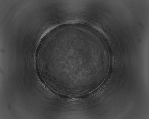 X0000090491412200708031136
