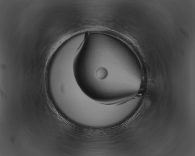 X0000090491414200708031136