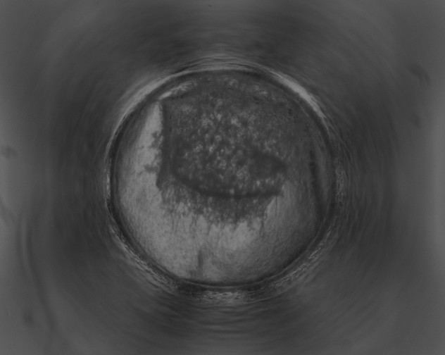X0000090491415200708031136