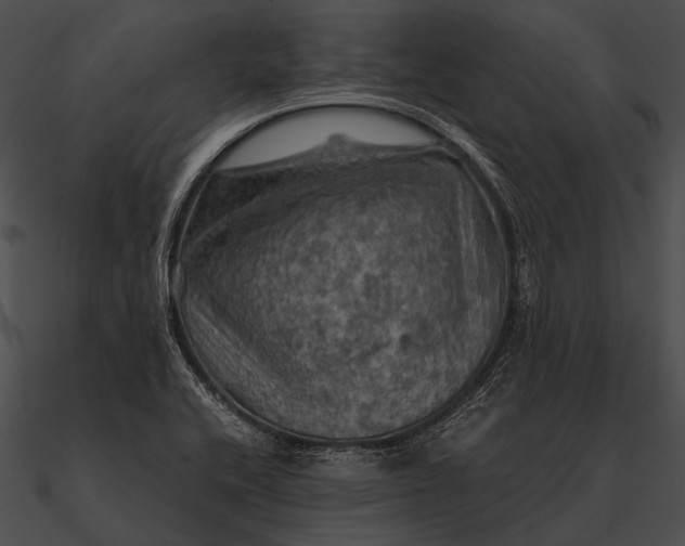 X0000090491416200708031136