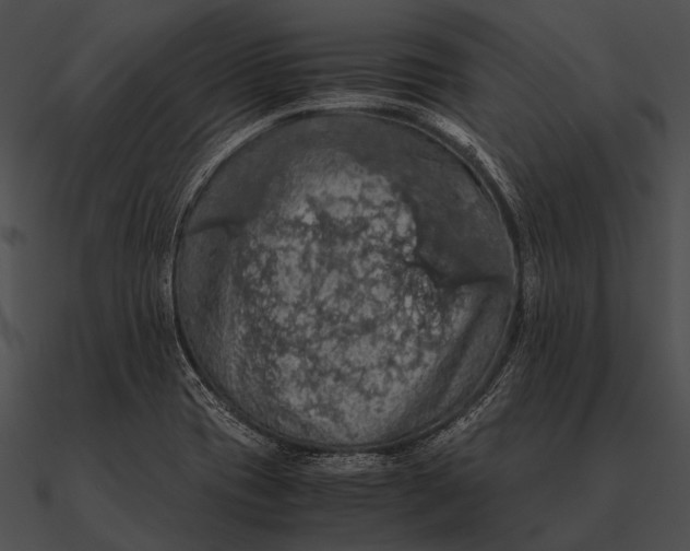 X0000090491417200708031136