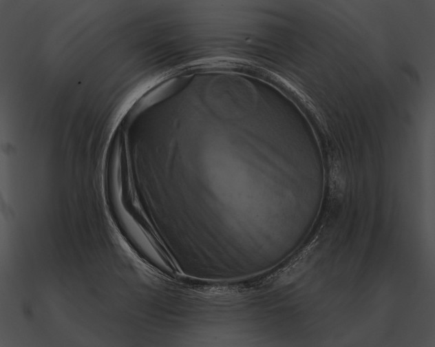 X0000090491418200708031136