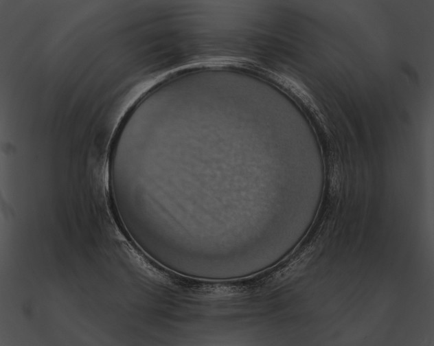 X0000090491420200708031136