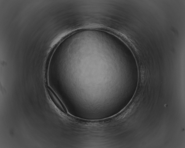 X0000090491422200708031136
