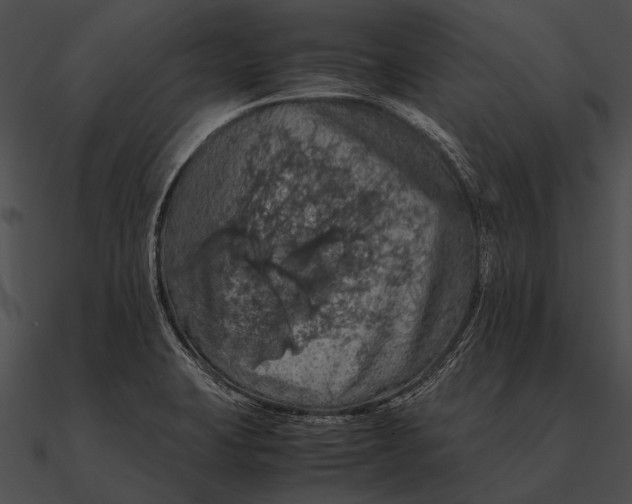 X0000090491423200708031136