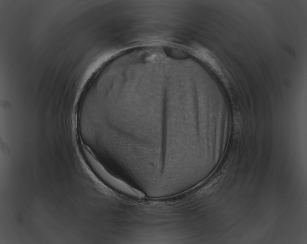 X0000090491424200708031136