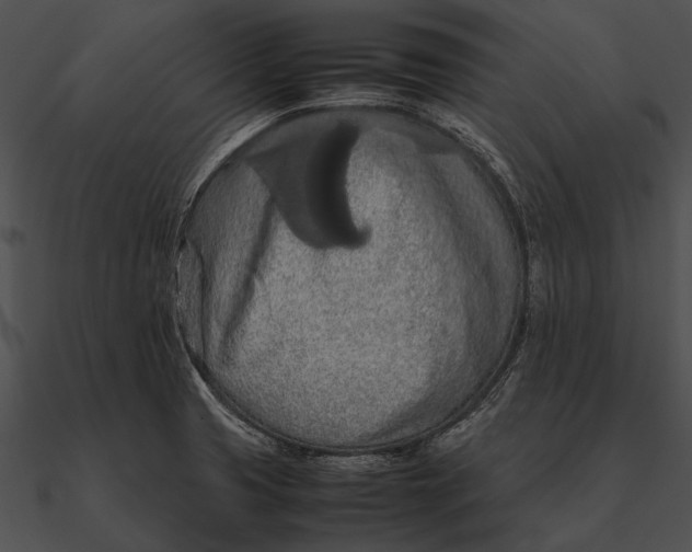 X0000090491425200708031136