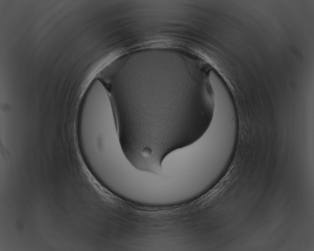 X0000090491426200708031136