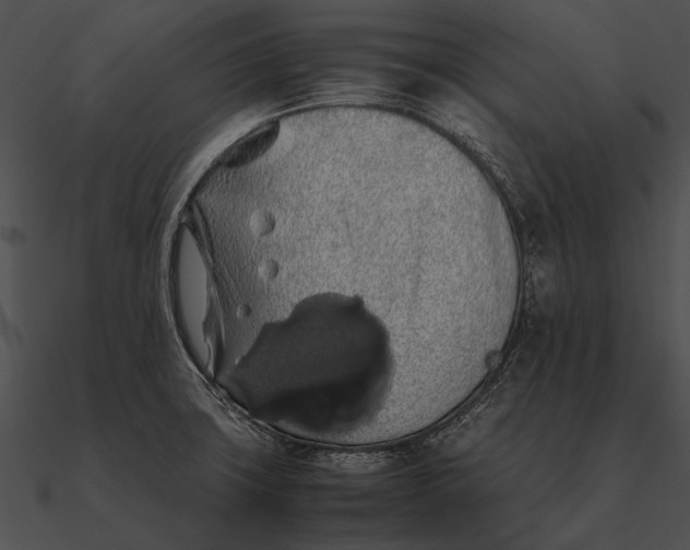 X0000090491427200708031136