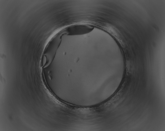 X0000090491428200708031136