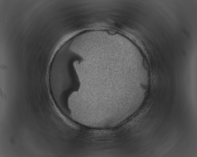 X0000090491429200708031136