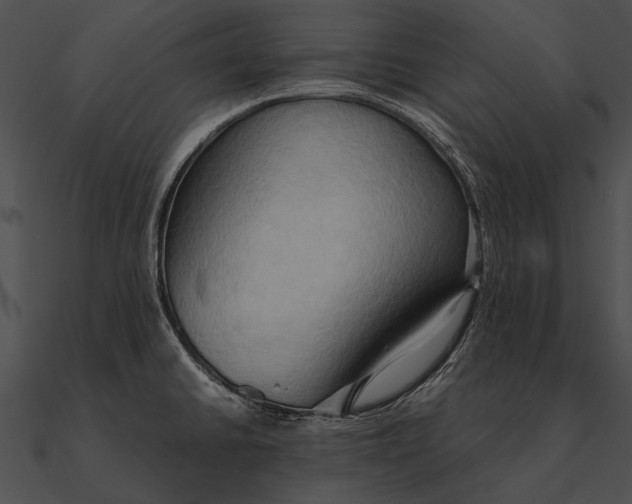 X0000090491430200708031136
