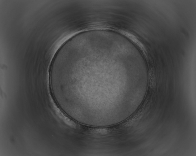 X0000090491431200708031137