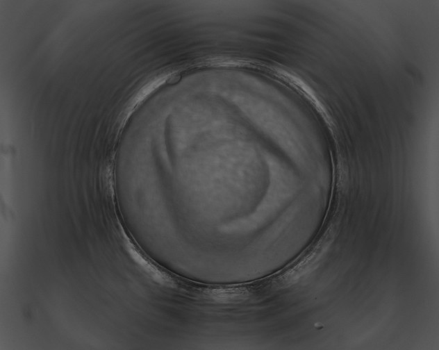 X0000090491433200708031137
