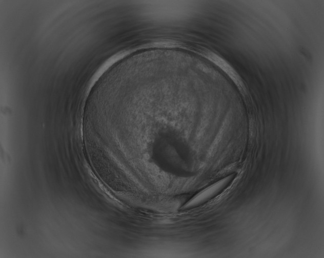 X0000090491436200708031137