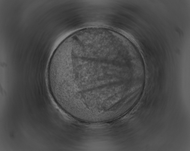 X0000090491440200708031137